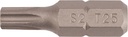 2000829166 - Detailbild2_Bit P829166 1/4 Zoll T 25 L.25mm TECWERK