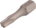 2000829173 - Detailbild2_Bit P829173 1/4 Zoll T 25 L.25mm TZ TECWERK