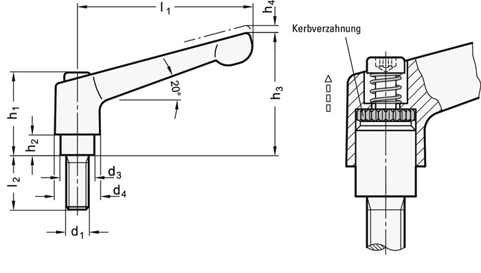 4601000583 - Detailbild_Verstellbarer Klemmhebel GN 300 d1 M 10mm l1 78mm IG GANTER