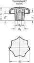 4601000859 - Detailbild_Sterngriff DIN 6336 m.Gewindebuchse Ku.d1 50mm d2 M 10mm