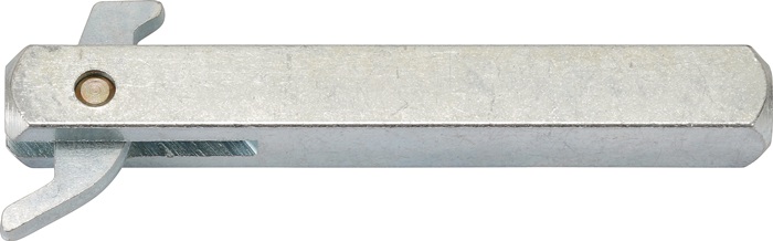 3000254544 - Detailbild_Haken-Wechselstift Typ K 4-KT.8x80mm STA verz.EDI