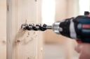 8000341805 - Detailbild3_Holzschlangenbohrer PRO Wood Arbeits-L.100mm D.32mm L.160mm 6-kt SW 11,1mm BOSCH