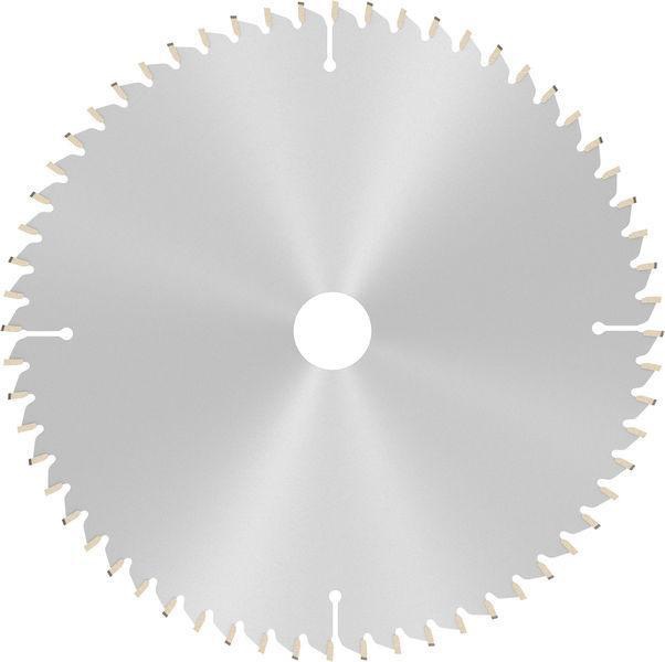 8000342266 - Detailbild2_Kreissägeblatt AD 254mm Z.60 HLTCG Bohr.30mm Schnitt-B.3,2mm HM BOSCH