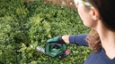 8000793634 - Detailbild3_Akku-Strauch-Grasscheren-Set AdvancedShear 18V-10 Messer-L.20cm m.Akku 2Ah BOSCH