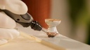 8000793857 - Detailbild_Zubehörset DREMEL® 20tlg. f.Holzarbeiten BOSCH