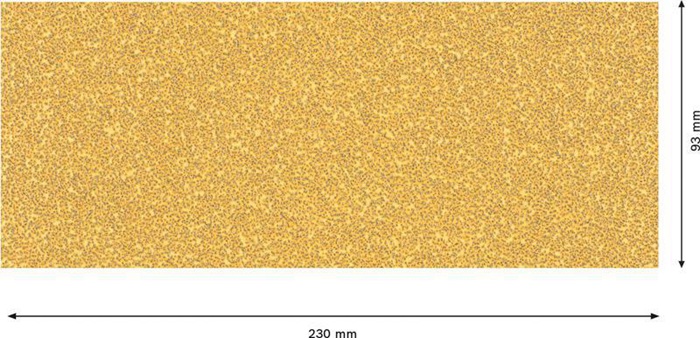 8000859896 - Detailbild2_Schleifpapier EXPERT C470 Abm.93x230mm Körnung 40 ohne Löcher 10 St. BOSCH