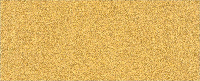 8000859896 - Detailbild5_Schleifpapier EXPERT C470 Abm.93x230mm Körnung 40 ohne Löcher 10 St. BOSCH