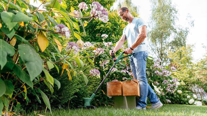 8001269149 - Detailbild_Rasentrimmer EasyGrassCut 23 Leistung 280W Schnittkreis-D.23cm G.2kg BOSCH