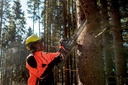 8002379005 - Detailbild_Akku-Kettensäge MS 36-18 LTX BL 40 18V METABO