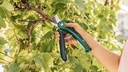 8002580892 - Detailbild4_Akku-Gartenschere EasyPrune Classic Spannung 3,6V Schnittkap.25mm BOSCH