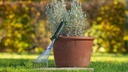 8004039125 - Detailbild2_Gartenhandrechen L.380mm Arbeits-B.120mm Edelstahl/TPR BOSCH