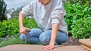 8004726996 - Detailbild2_Bit-Schraubendreher Schaft-L.100mm T-Griff BOSCH