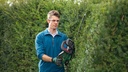 8004969050 - Detailbild_Akku-Heckenschere UniversalHedgeCut 18V-55 Messer-L.55cm Hubz.2800 1/min o.Akku