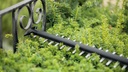 8004969051 - Detailbild_Akku-Heckenschere UniversalHedgeCut 18V-55 Messer-L.55cm 2800 1/min m.Akku 2,5Ah