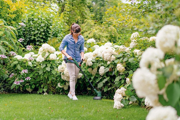 8004969062 - Detailbild4_Akku-Rasentrimmer EasyGrassCut 18V-26 Schnittkreis-D.26cm m.Akku 2,5Ah BOSCH