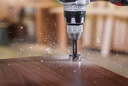 8004969073 - Detailbild4_Forstnerbohrer EXPERT Wood D.14mm Schaft 8mm BOSCH