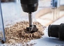 8004969095 - Detailbild_Scharnierlochbohrer EXPERT Laminated Wood D.18mm BOSCH
