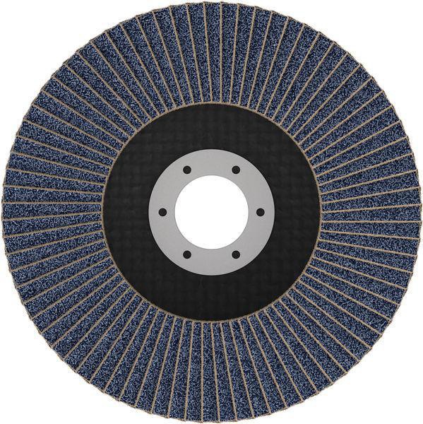 8005072269 - Detailbild5_Fächerschleifscheibe X451 Abm.125x22,23mm K80 Z29 60 St BOSCH