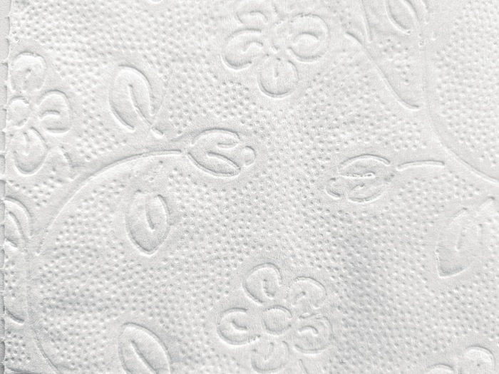 9000469012 - Detailbild_Toilettenpapier Racon Premium 3-lagig 64 RL à 250 Bl.RACON