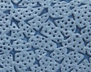 9000469013 - Detailbild_Putztuch WIPEX STAR L.ca.360 mmxB.ca.380mm blau 1-lagig WIPEX
