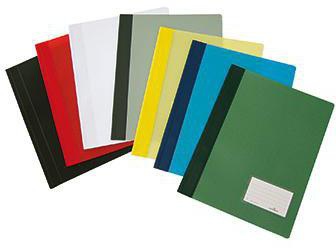9199106667 - Detailbild_DURABLE Schnellhefter DURALUX 268002 DIN A4 Hartfolie weiß