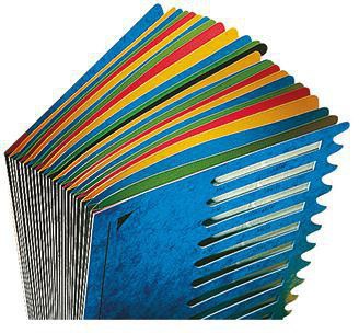 9199108134 - Detailbild_Leitz Ordnungsmappe Deskorganizer Color 59140035 24Fächer blau