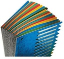 9199108135 - Detailbild_Leitz Ordnungsmappe Deskorganizer Color 59120095 12Fächer schwarz