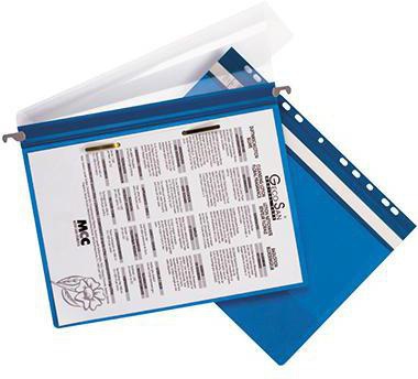 9199150363 - Detailbild_DURABLE Hängehefter Economy 256106 DIN A4 Universallochung blau