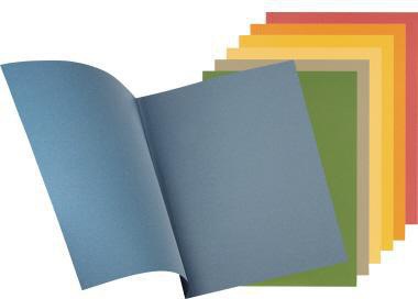 9199151846 - Detailbild2_Falken Aktendeckel 80004146 23x31,8cm 250g ge 100 St./Pack.