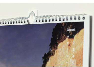 9199152724 - Detailbild_tesa Powerstrips Bildernagel 58031-00020 weiß 2Nägel x 4Strips