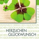 9199115415 - Detailbild2_SIGEL Faltkarte Fortune DS004 10 St./Pack. +Umschl.