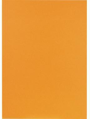 9199151849 - Detailbild3_Falken Aktendeckel 80001282 23x31,8cm 250g or 100 St./Pack.