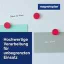 9199110241 - Detailbild_Magnetoplan Magnet Ergo Medium 1664018 30mm pink 10 St./Pack.