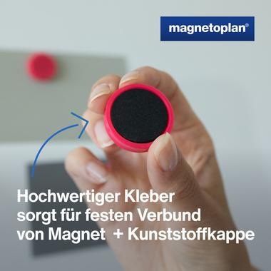 9199110241 - Detailbild5_Magnetoplan Magnet Ergo Medium 1664018 30mm pink 10 St./Pack.