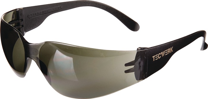 TECWERK Schutzbrille Daylight Basic