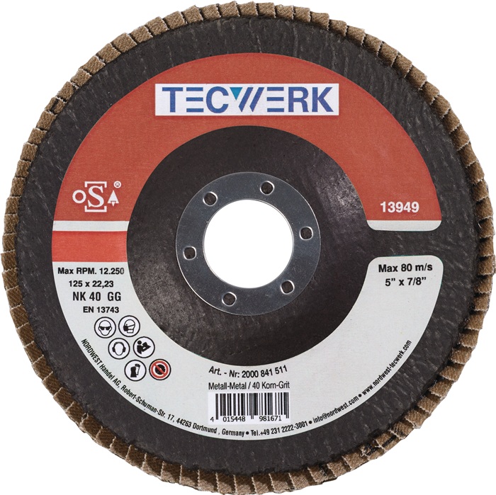 TECWERK Fächerscheibe