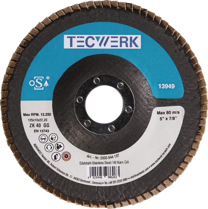 TECWERK Fächerscheibe Action