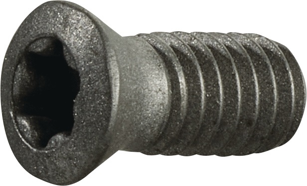 TECWERK Spannschraube