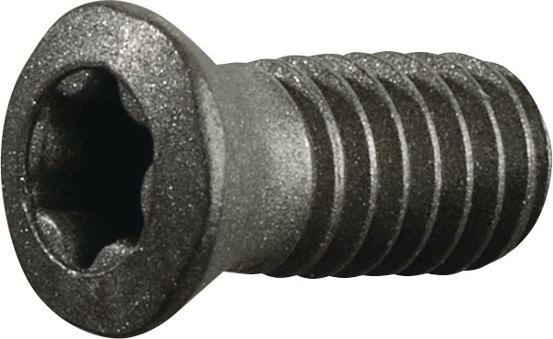 TECWERK Spannschraube US 4011
