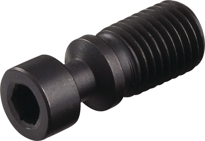 TECWERK Spannschraube