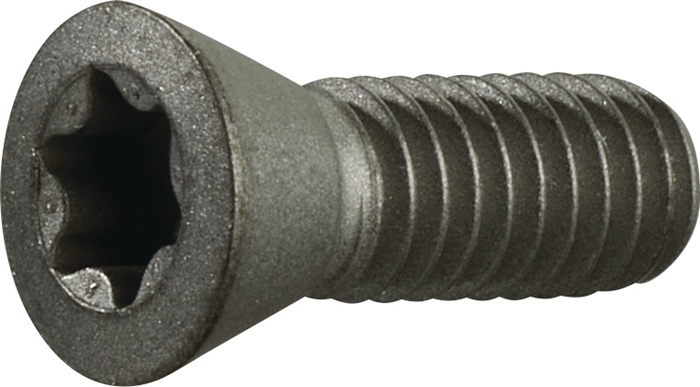 TECWERK Spannschraube