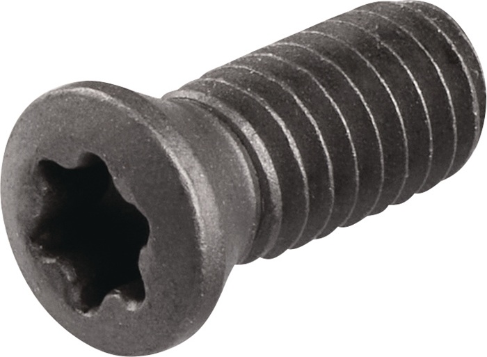 TECWERK Spannschraube