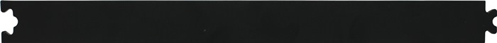 INTERSTEEL Laufschiene 4501