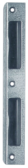 SSF Winkelschließblech