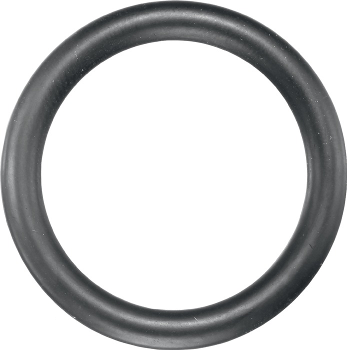 ASW Gummisicherungsring 740 GR