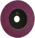 EISENBLÄTTER Fächerscheibe TRIMFIX® BLACK MAMBA®