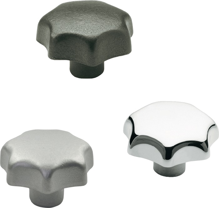 GANTER Sterngriff DIN 6336