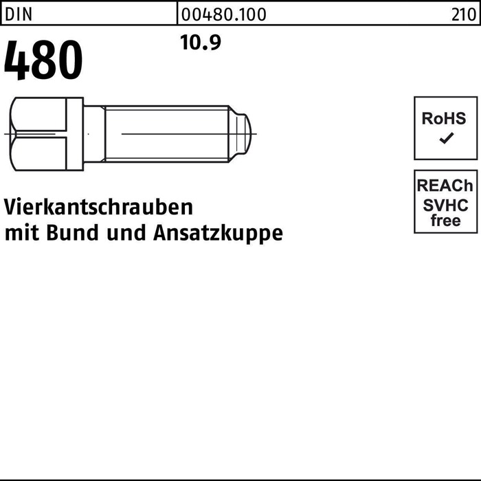 Vierkantschraube DIN 480 m.Bund/Ansatzkuppe