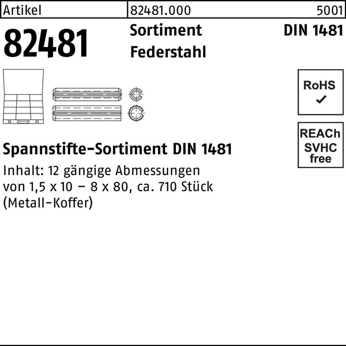 Spannstiftsortiment DIN 1481