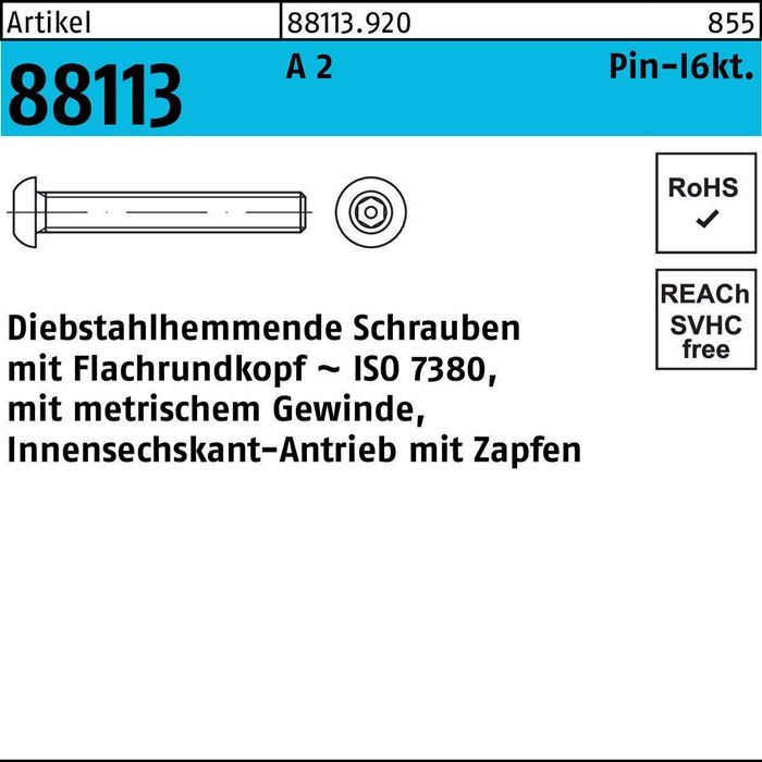 Schraube R 88113 diebstahlh. Innen-6kt Zapfen